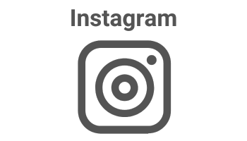 Icon of the Instagram logo with the text "Instagram," promoting AI Chatbot Solutions for businesses targeting social media users in Essex.